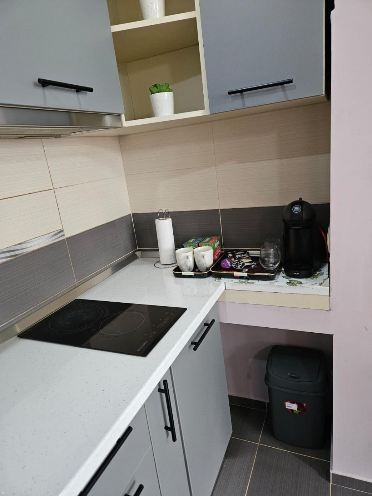 Central Sweet Apartment Self Check-In 蒂米什瓦拉 外观 照片
